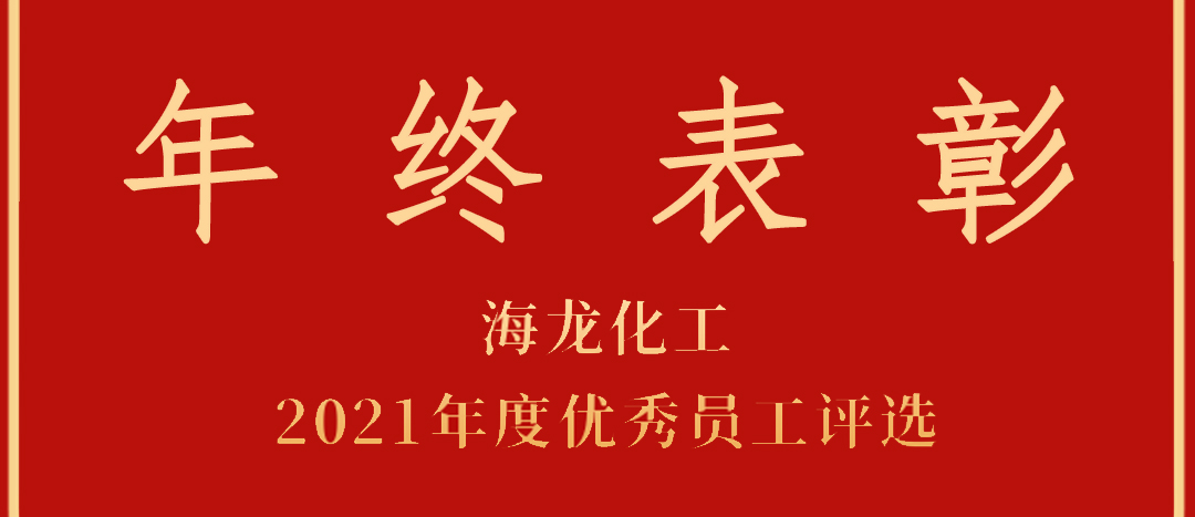 <strong>表彰！海龍化工2021年度優(yōu)秀員工優(yōu)秀部門評選</strong>